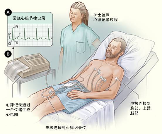 ĲҪЩz龫Ʒŷþþþþ12(ͼ1)