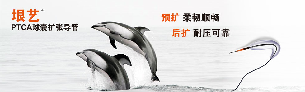 ˇ?ҔU(ͼ1)